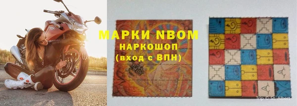 сатива Абинск