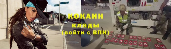 сатива Абинск