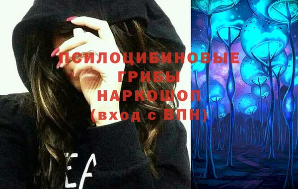 сатива Абинск