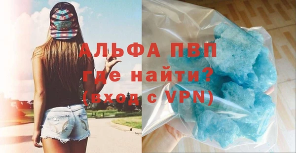 сатива Абинск